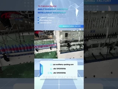 Línea anticorrosión