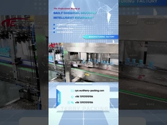 La máquina de embalaje de cajas