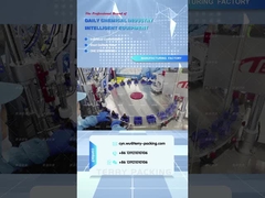 Huida Shengwu de llenado de mesa giratoria